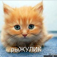 Рыжий Котёнок