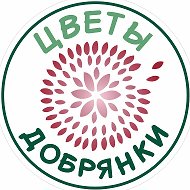 Цветы Добрянки