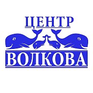 Центр Волкова