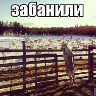 Валера Лапшин