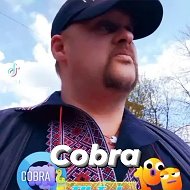 Cobra ♕✔√ip