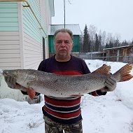 Анатолий Чередников