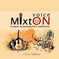 Mixton Voice