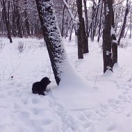 Валентина Ануфриева