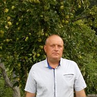 Александр Маньковский