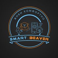 Smart Beaver