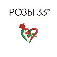 Розы 33