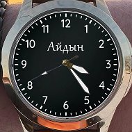 Айдын Азизов