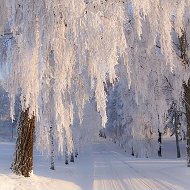 Тамара Баранцева