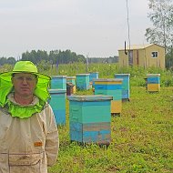 Андрей Пчеловод