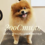 Зоостиль Салон