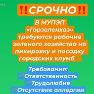 Мупэп Горзеленхоз