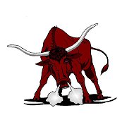 Bulls -
