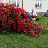 Андрій Козак