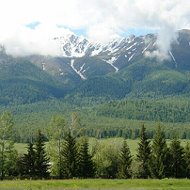 Асемгуль Иргебаева