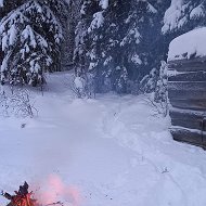 Сергей Гореньков