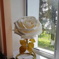 Анастасия Ростовые-цветы