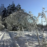 Дмитрий Корепин