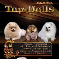 Top- Dolls