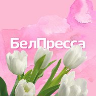 Сайт Белпресса