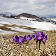 Светлана Котерева