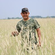 Поездки Доступно