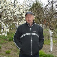 Владимир Манаенков