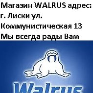 Walrus Магазин