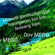 Dov Mego