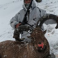 Курбан Гаджиалиев