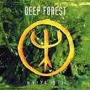 Deep Forest