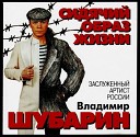 Владими шубарин