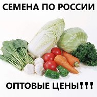 Семена Оптовые