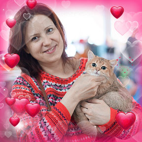 Фотография от Британские кошки Решетар Валентина