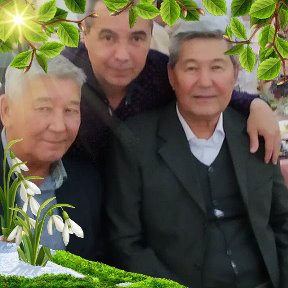 Алимов Ахмет Хайдарович