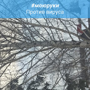 Фотография от НИКОЛАЙ ТРОШИН