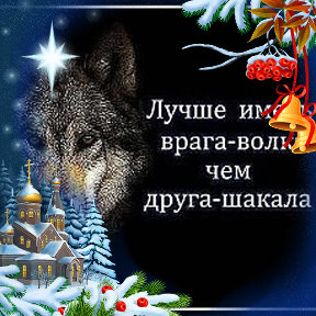 Фотография от WOLF BLACK