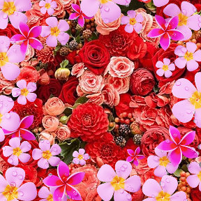 Фотография от Лариса Лара