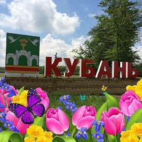 Фотография от сельское поселение Кубань