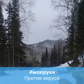 Фотография от НАТАЛЬЯ A