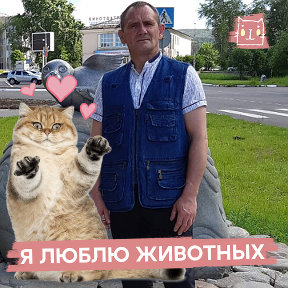 Фотография от Игорь Соловьев