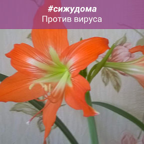 Фотография от Ольга Паршукова