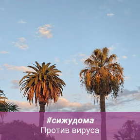 Фотография от Римма Римма