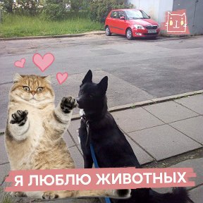 Фотография от 💥Е л е н к а💥