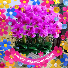 Фотография от Красивые Орхидеи Донецк 0713457140 Вита