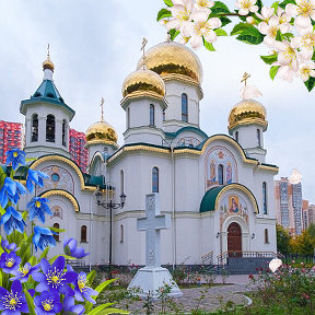 Фотография от Светлана Бондарь(Федько)