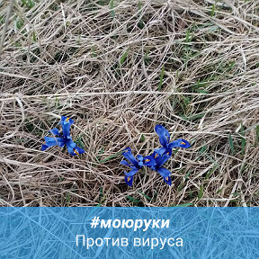 Фотография от Ольга Андрукевич