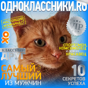 Рыжий Кот