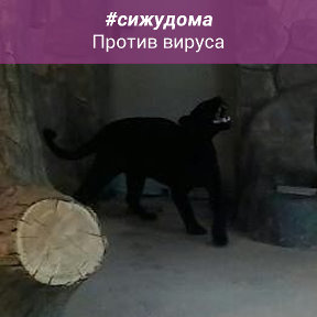 Фотография от Ми Ла