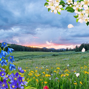 Фотография от Нина Глазачева